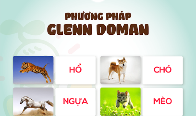 11 quy tắc vàng của glenn doman