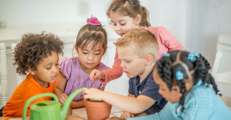 so sánh phương pháp montessori và reggio emilia
